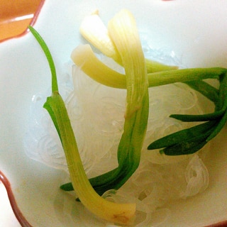 ひろっこ春雨の酢の物